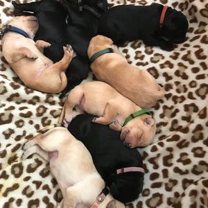 Meet your Posher, Kristine